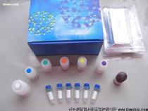 生物制品市場概覽 從產品、價格到供應鏈的全面解析